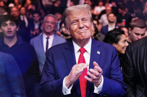 President-elect Donald Trump looks on during the UFC 309 event at Madison Square Garden on November 16, 2024 in New York City. 