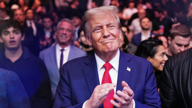 President-elect Donald Trump looks on during the UFC 309 event at Madison Square Garden on November 16, 2024 in New York City. 