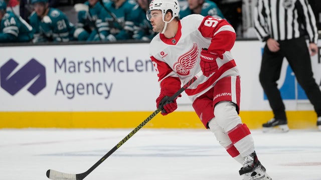Red Wings Sharks Hockey