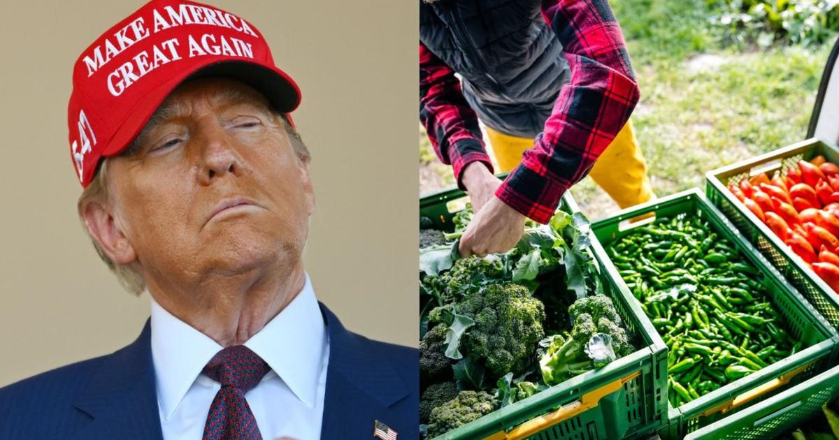 How Trump's mass deportation plans could affect food, farming industry