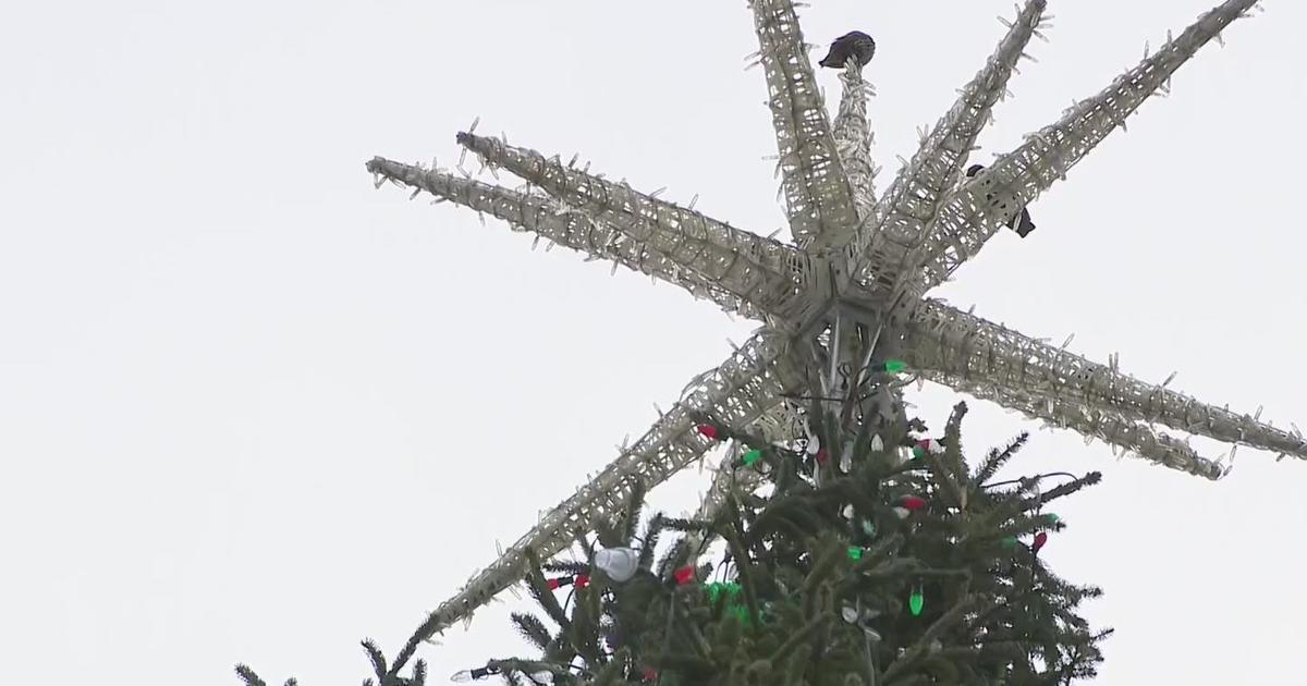 Detroit officials are discussing safety ahead of the annual Christmas tree lighting ceremony