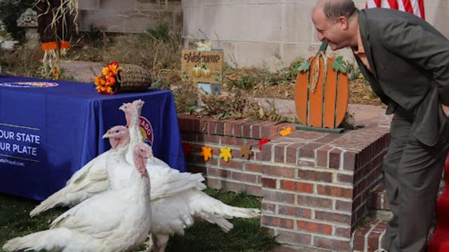 polis-turkey-pardon.jpg 