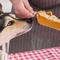 Thanksgiving foods cats and dogs can (and can't) eat