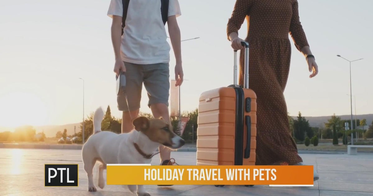 Ask Dr. Mike: Pet safety tips for holiday travel
