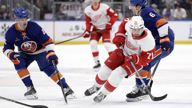 Red Wings Islanders Hockey 