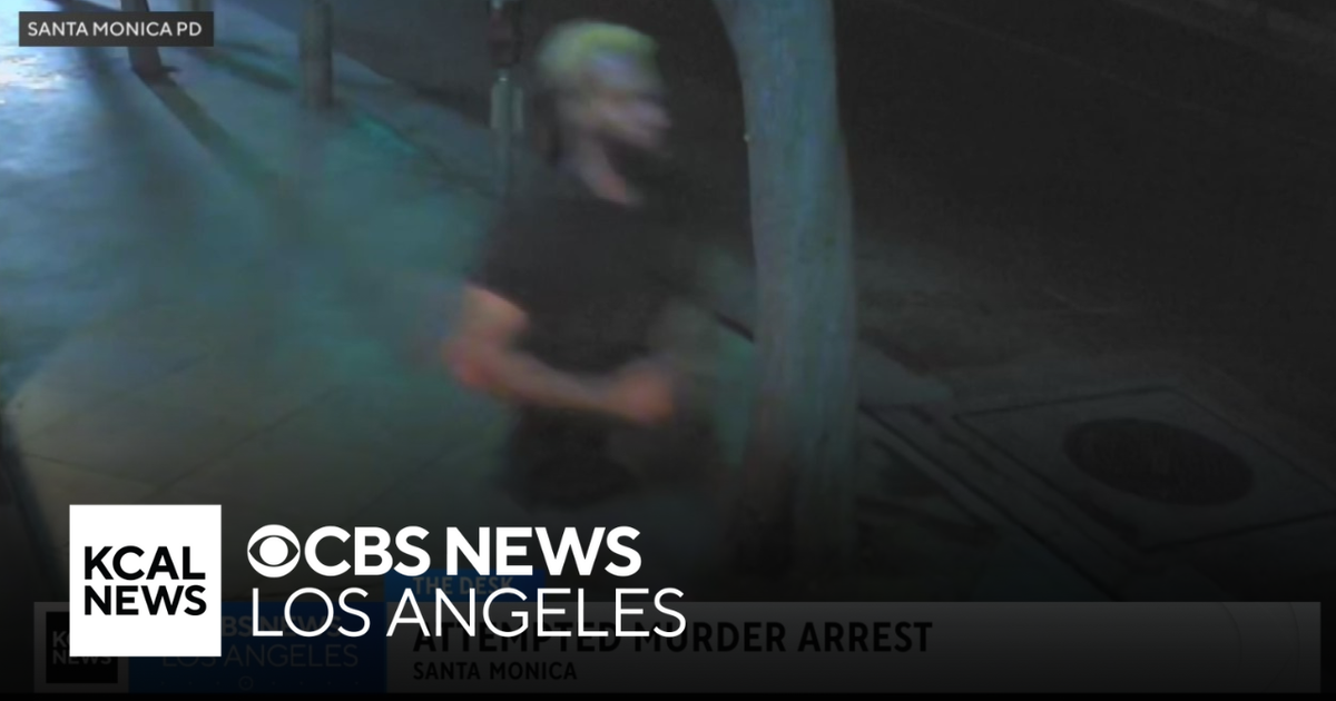 Arrest made in unprovoked attack of homeless woman in Santa Monica ...