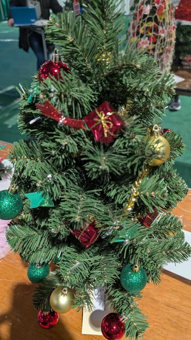 A traditional holiday-themed tree designed by  Rick Ritter and Derek Beasley for the 2024 Festival of Trees. 