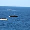 Armed men in speedboats kidnap women, children from dinghy