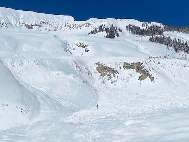 Colorado Avalanche Fatality 