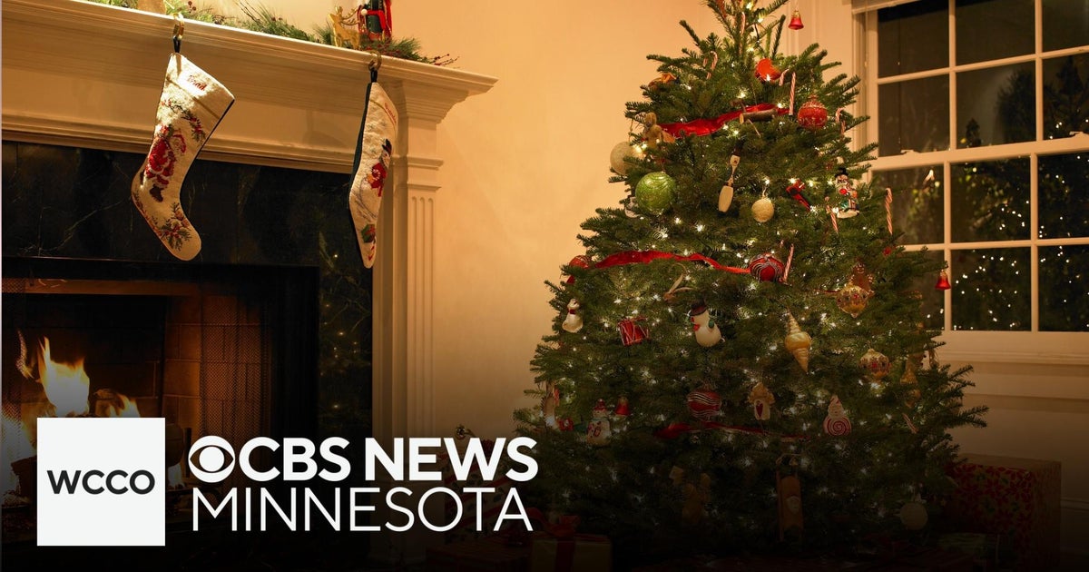 Tips for prolonging the life of your Christmas tree