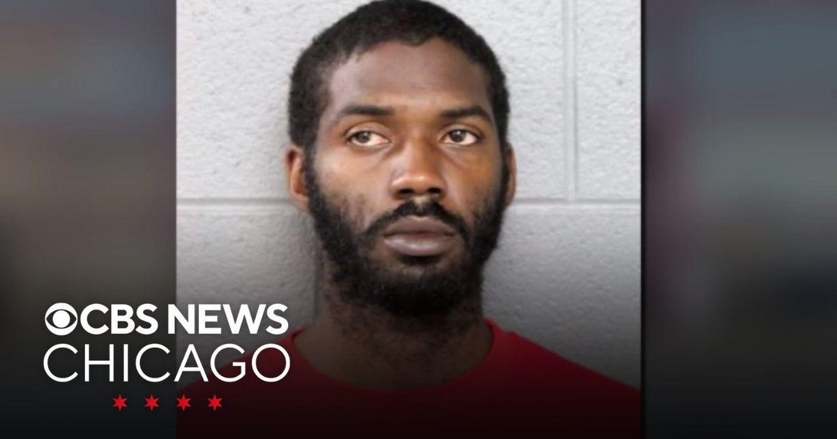 Man charged with killing Oak Park detective appears in court - CBS Chicago