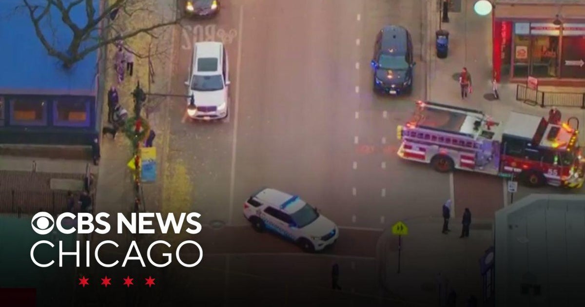 Person in custody in shooting that killed man in Chicago's Lincoln Park ...