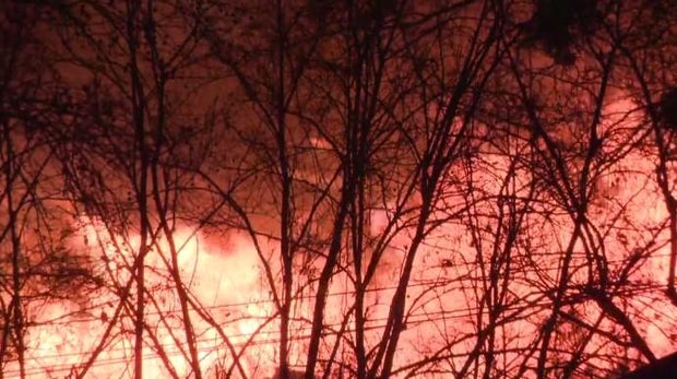 fire4.jpg 