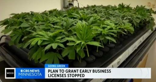 Minnesota Shifts Cannabis Licensing to Joint Lottery