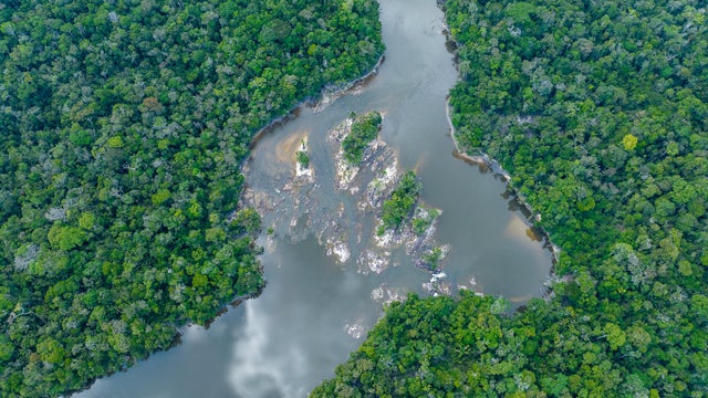 field-museum-amazon-expedition.png 