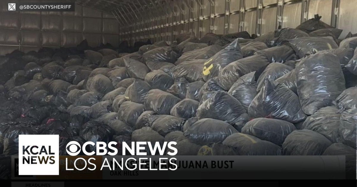 San Bernardino County Sheriff deputies make massive Illegal marijuana ...