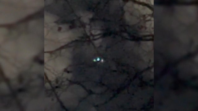 16pkg-rh-mystery-drones-update-transfer-frame-194.jpg 
