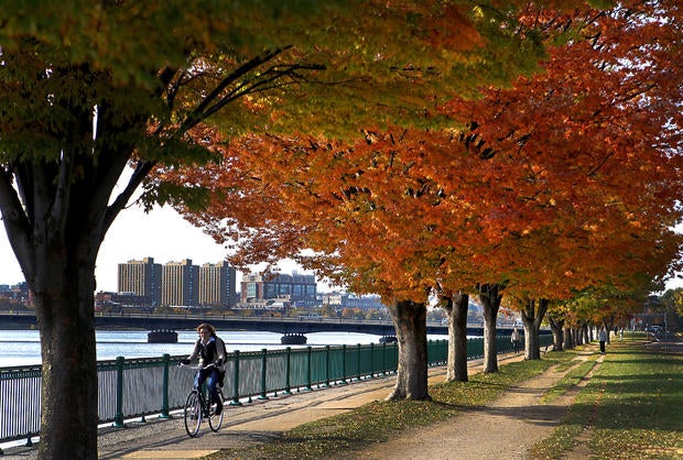 Fall Foliage Along The Charles 