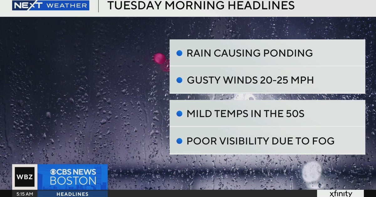 Next Weather WBZ morning forecast for December 17, 2024 CBS Boston