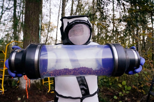 TOPSHOT-US-MURDER-HORNETS-NEST