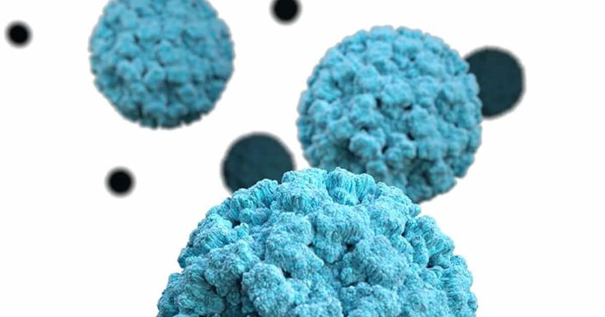 It feels like everyone has a stomach bug. A new norovirus strain might be to blame, CDC data suggests It feels like everyone has a stomach bug. A new norovirus strain might be to blame, CDC data suggests