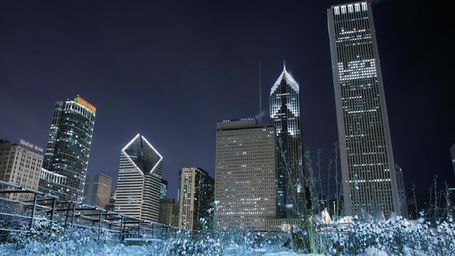 snowy garden against skyline 