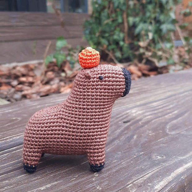 capypara-yarn.jpg