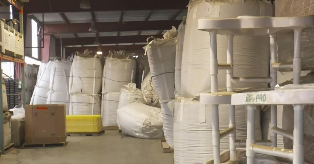 Why Sutter County supervisors voted to temporarily ban hemp farming