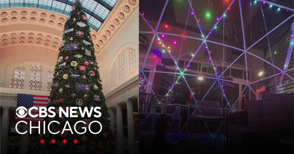 Union Station tree, on the roof of River North | Which caught my attention