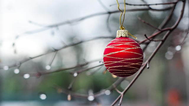 Red Christmas ball hanging from tree branch 