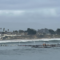 Portion of Santa Cruz Wharf collapses amid high surf with 2 people rescued