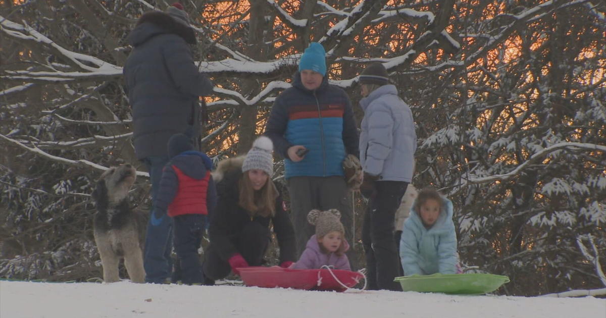 Sledding returns after a group complained it was damaging the flowers on the Massachusetts hillside