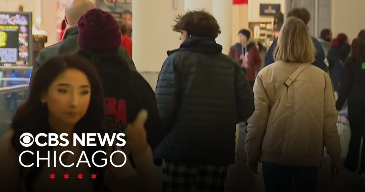 A wave of last-minute holiday shoppers is hitting the suburban Chicago mall