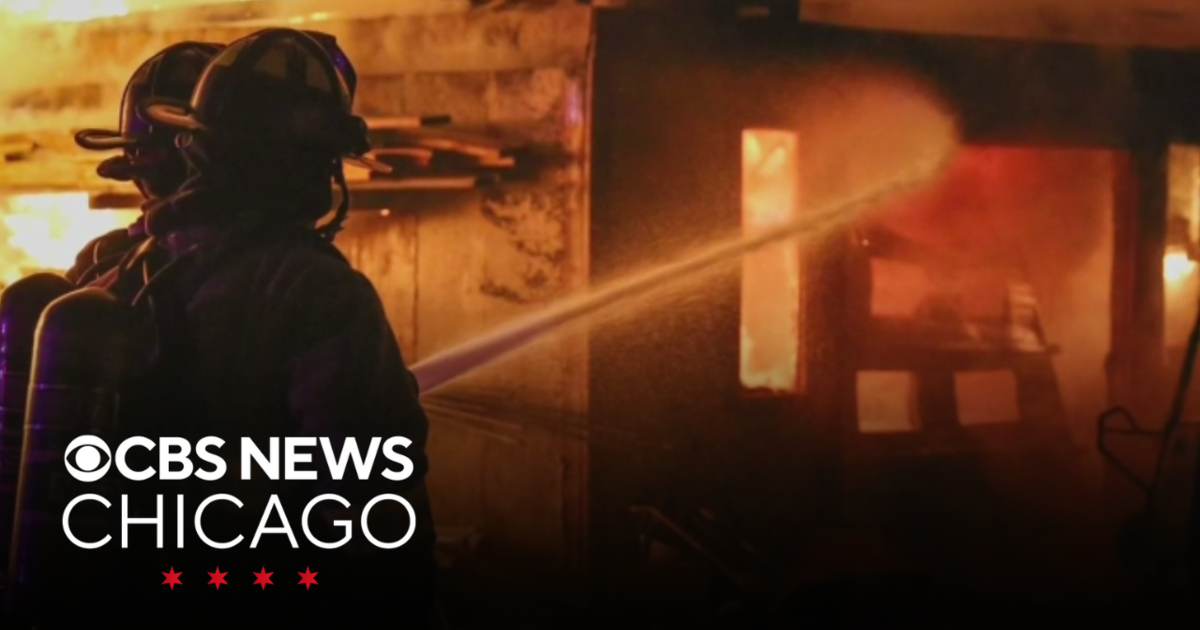 3 Horses, Pony Killed In Barn Fire Northwest Of Chicago - Cbs Chicago