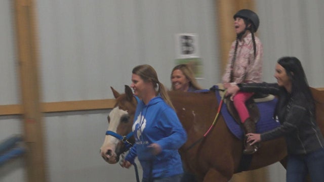 horsey.jpg