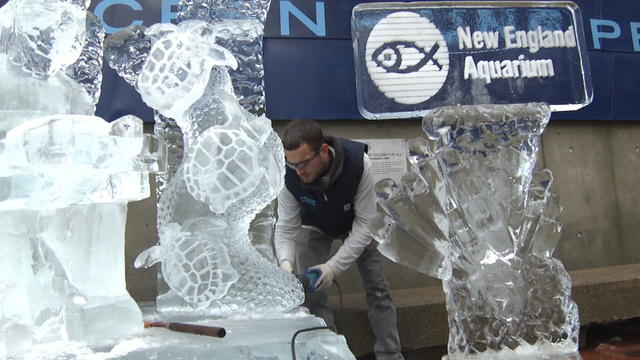 aquarium-ice-sculpture-pkg-transfer-frame-947.jpg 