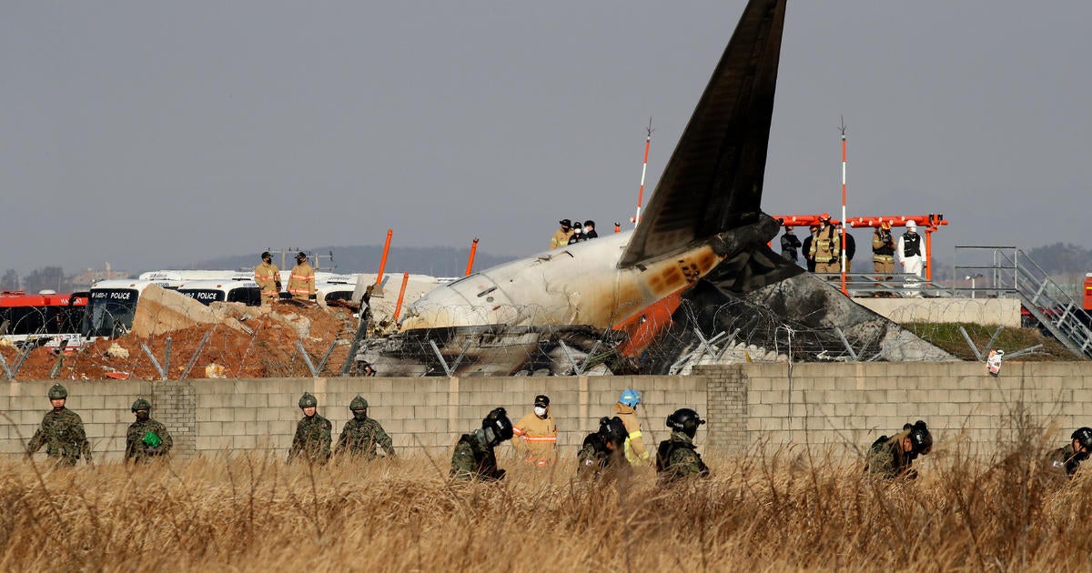 South Korea's Jeju Air plane crash probe finds duck DNA in both engines of jet that burst into flames in Seoul