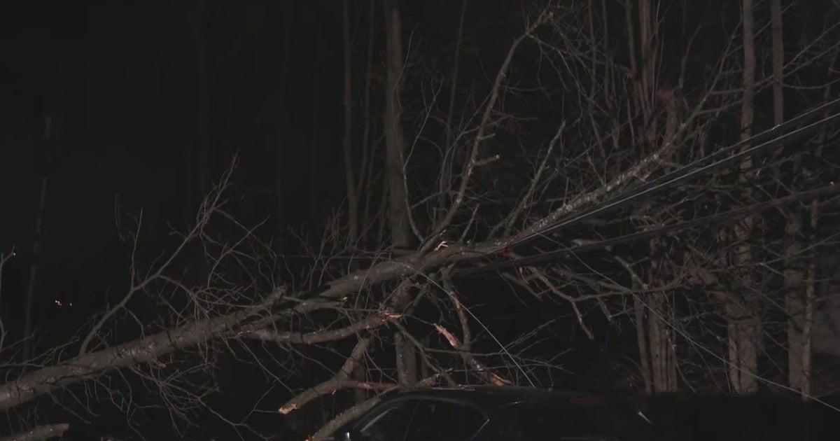 Strong Winds Cause Widespread Power Outages