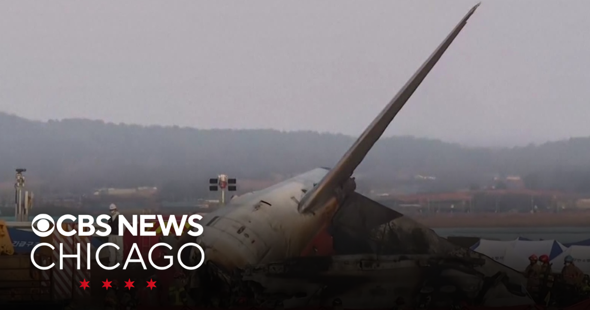 Pilot reported bird strike before plane crash in South Korea - CBS Chicago