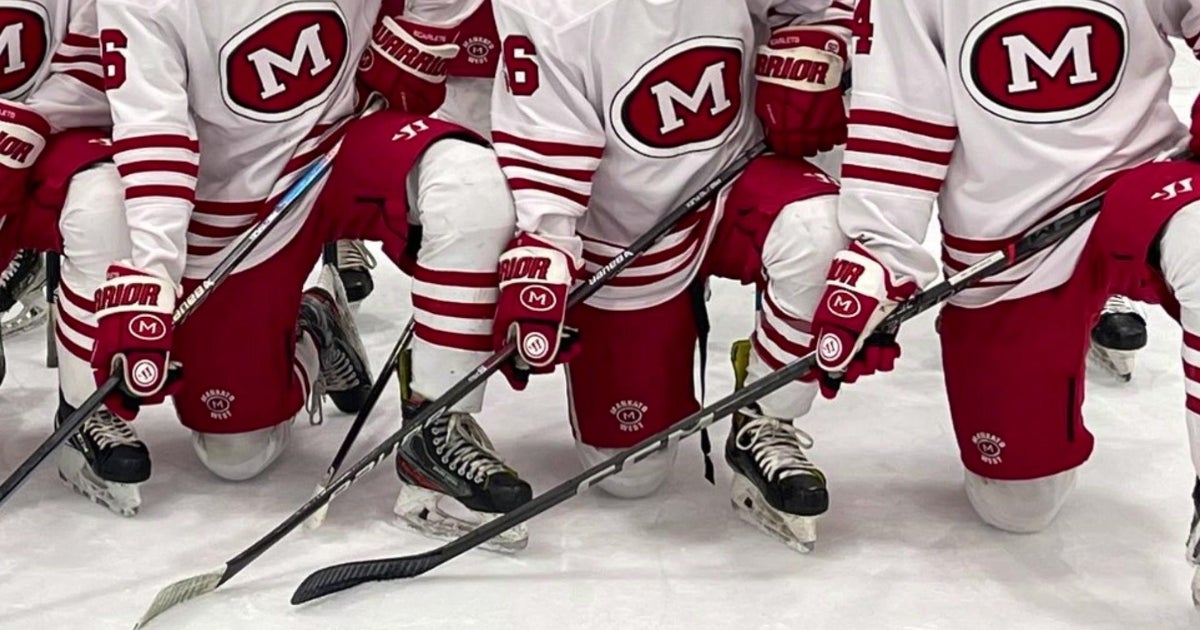 Duluth Man Charged in Hockey Stick Theft