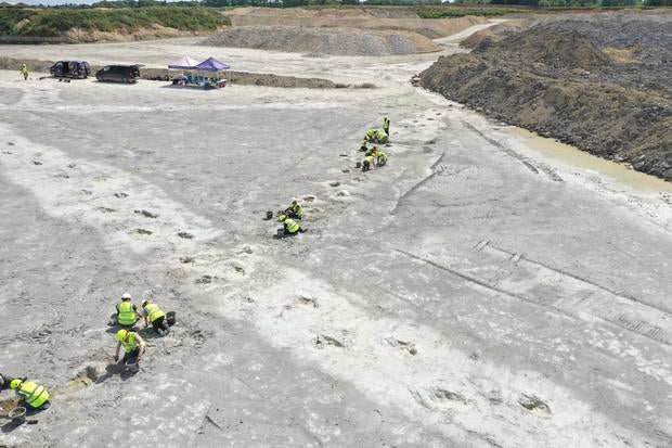 Britain Dinosaur Tracks 