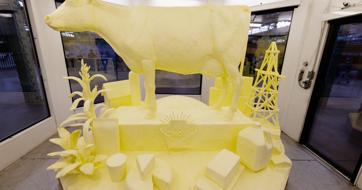 2025 Pennsylvania Farm Show butter sculpture celebrates dairy cows as 2025 Pennsylvania Farm Show butter sculpture celebrates dairy cows as