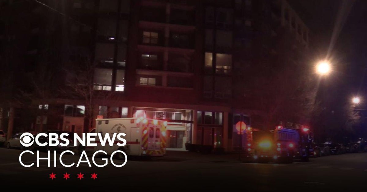 Toddlers found alone on Near North Side - CBS Chicago