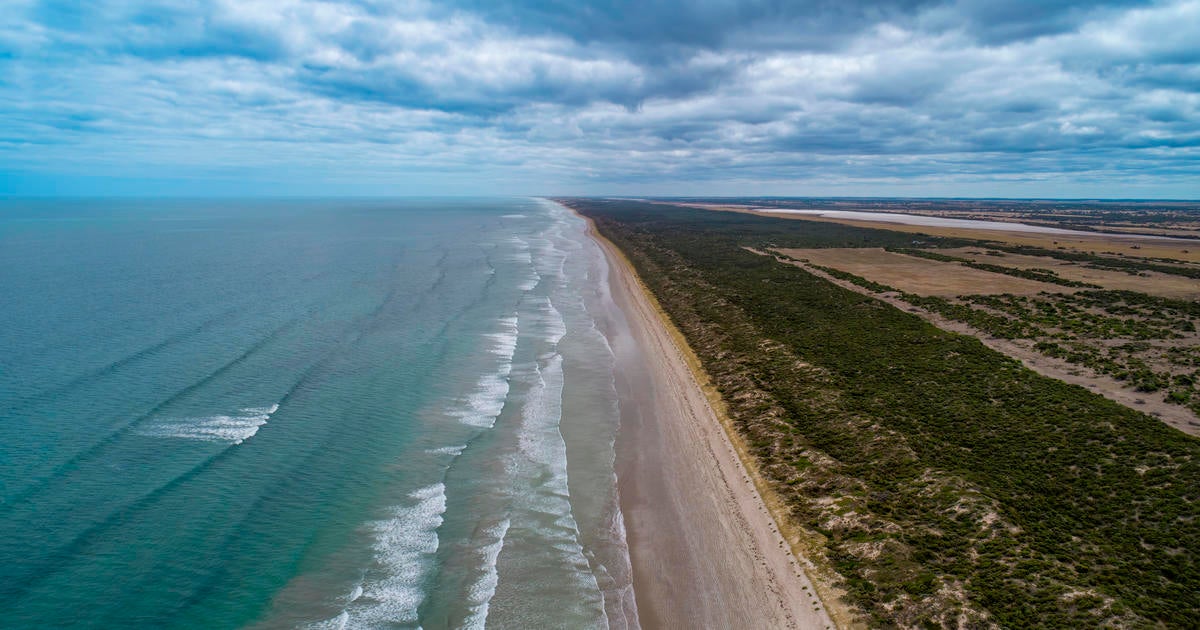 Search underway for surfer feared killed in shark attack off Australian coast