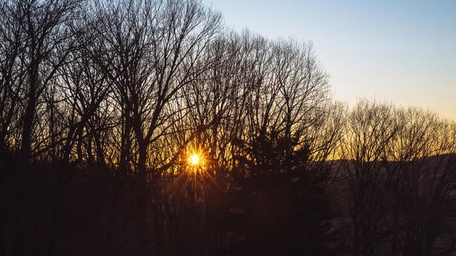 Winter Sky, Winter Sunset Season, Bare Trees 