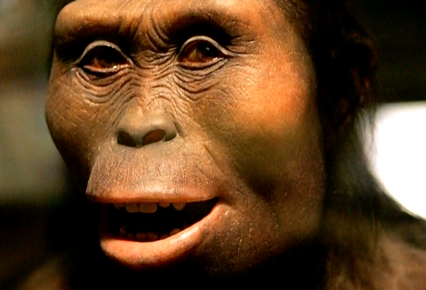 Um modelo de um hominídeo. CBS SATURDAY MORNING.