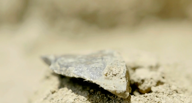 Researchers Unearth 3-Million-Year-Old Tools in Kenya Shedding Light on Early Human Evolution