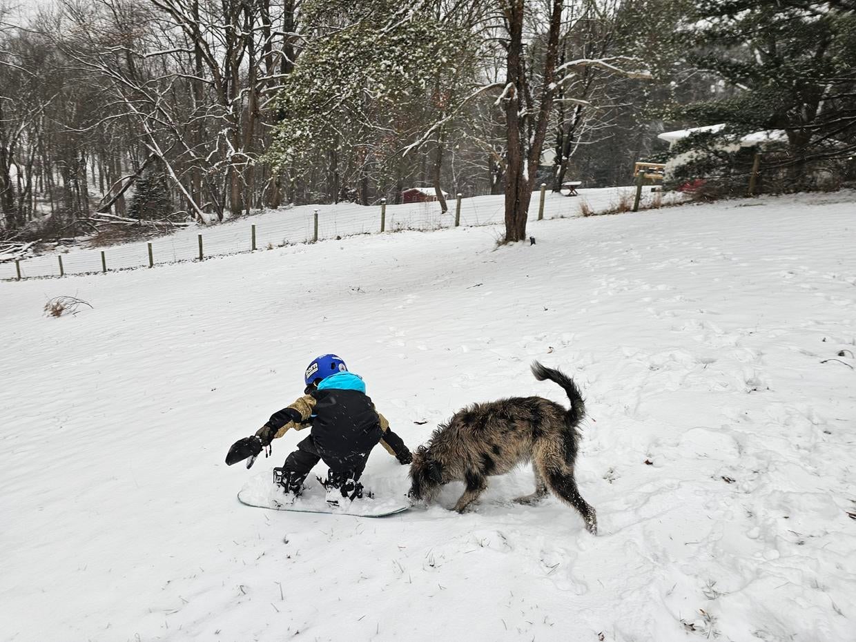 Maryland sees its first major snow storm of the season CBS Baltimore