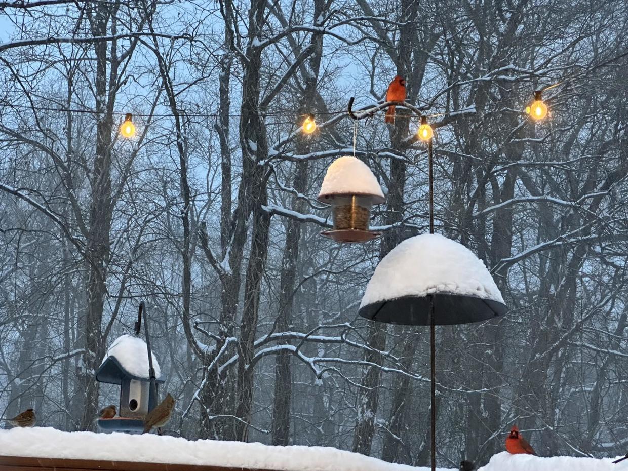 Marylanders experience first major snow storm of the season CBS Baltimore