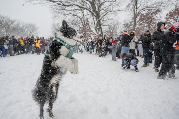 Winter Storm Brings Snow From Midwest To East Coast 